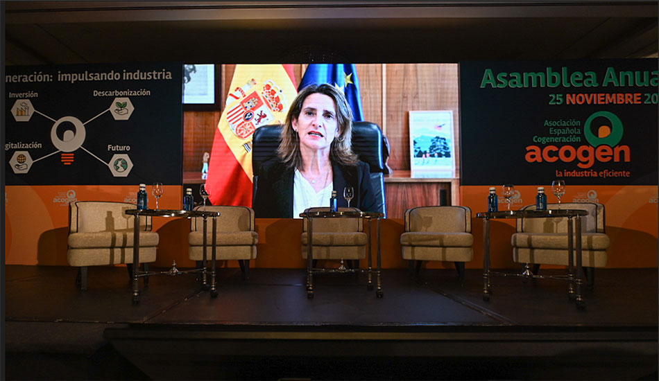 Los cogeneradores reclaman al gobierno un marco retributivo flexible y estable para 2023