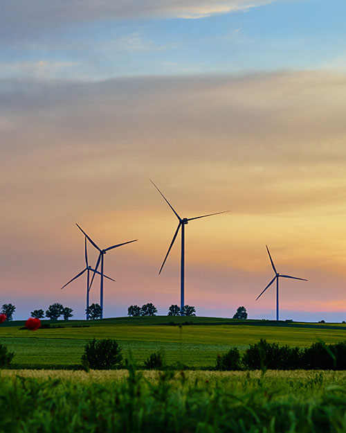 aerogeneradores al atardecer