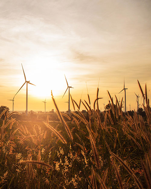 amanecer en un parque eolico