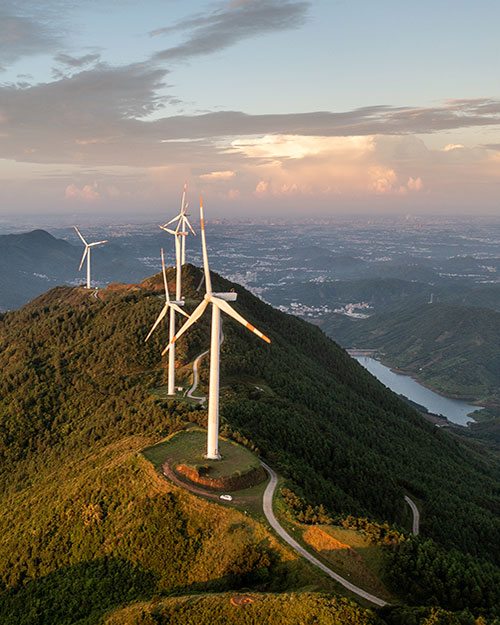 parque eolico en un monte