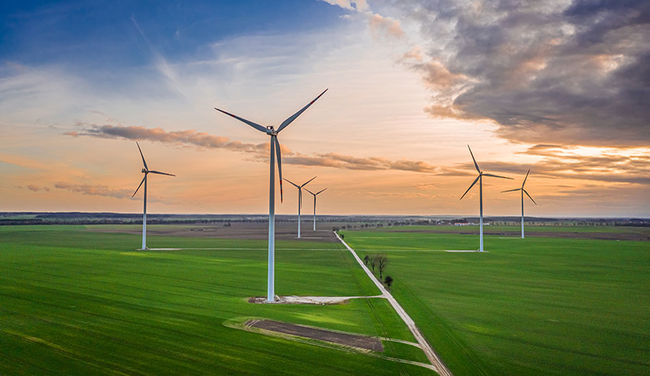 parque eólico atardecer