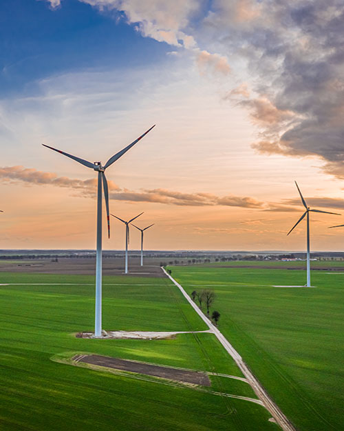 parque eólico atardecer