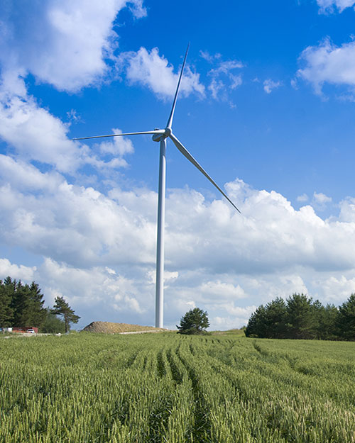 parque eólico en campo de cultivo