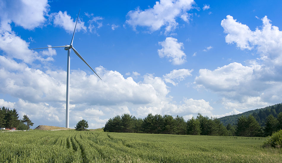 parque eólico en campo de cultivo