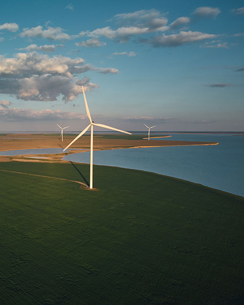 parque eólico junto al mar