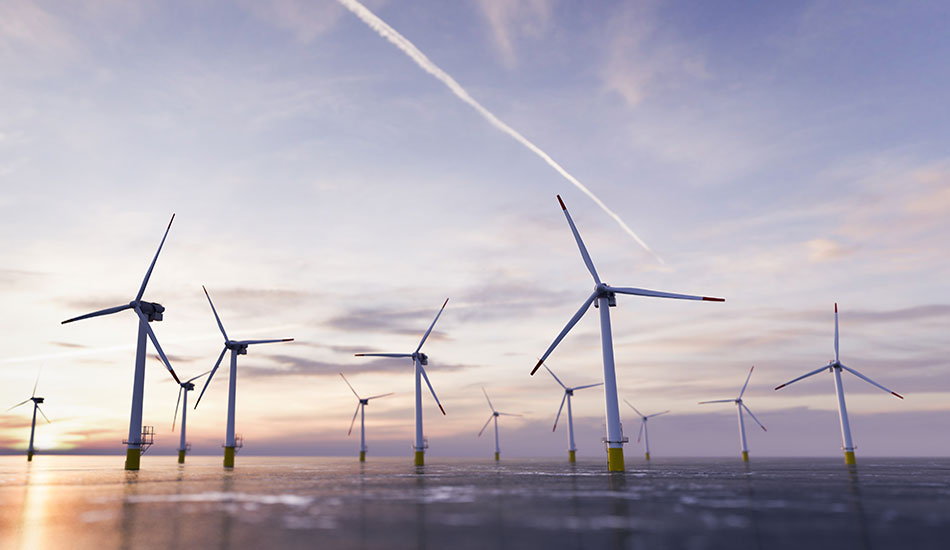 parque eólico marino al atardecer