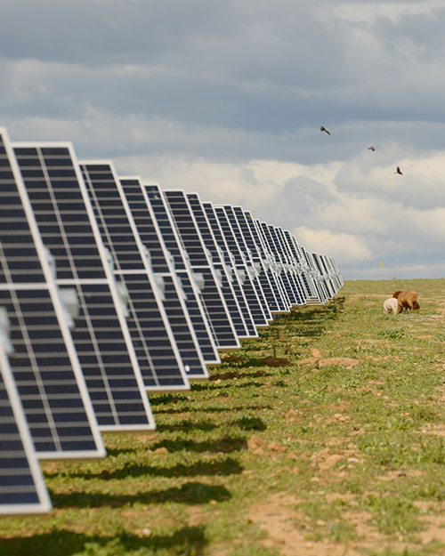 planta solar baywa r.e.