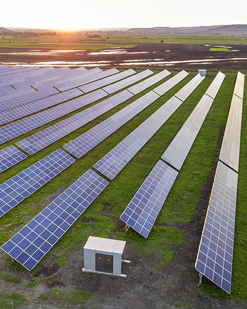 atardecer en una planta fotovoltaica