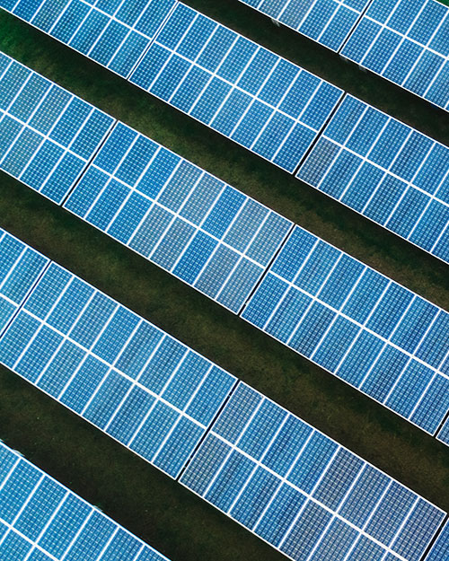 módulos fotovoltaicos en una planta fotovoltaica