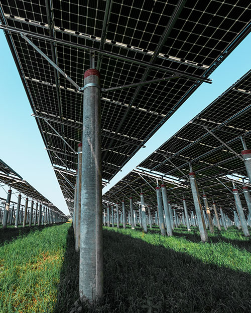 seguidores solares bifaciales