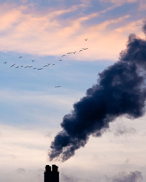 chimenea contaminando